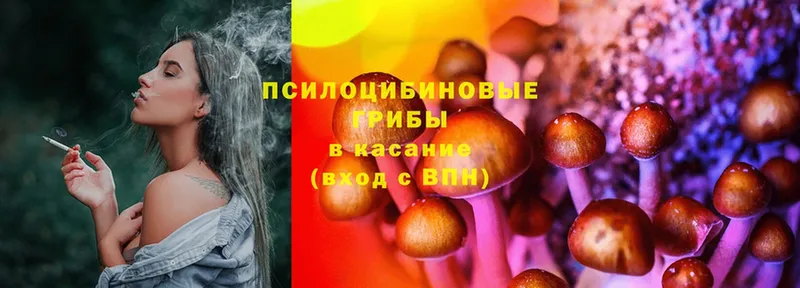 маркетплейс клад  Стрежевой  Псилоцибиновые грибы Psilocybe  закладка 